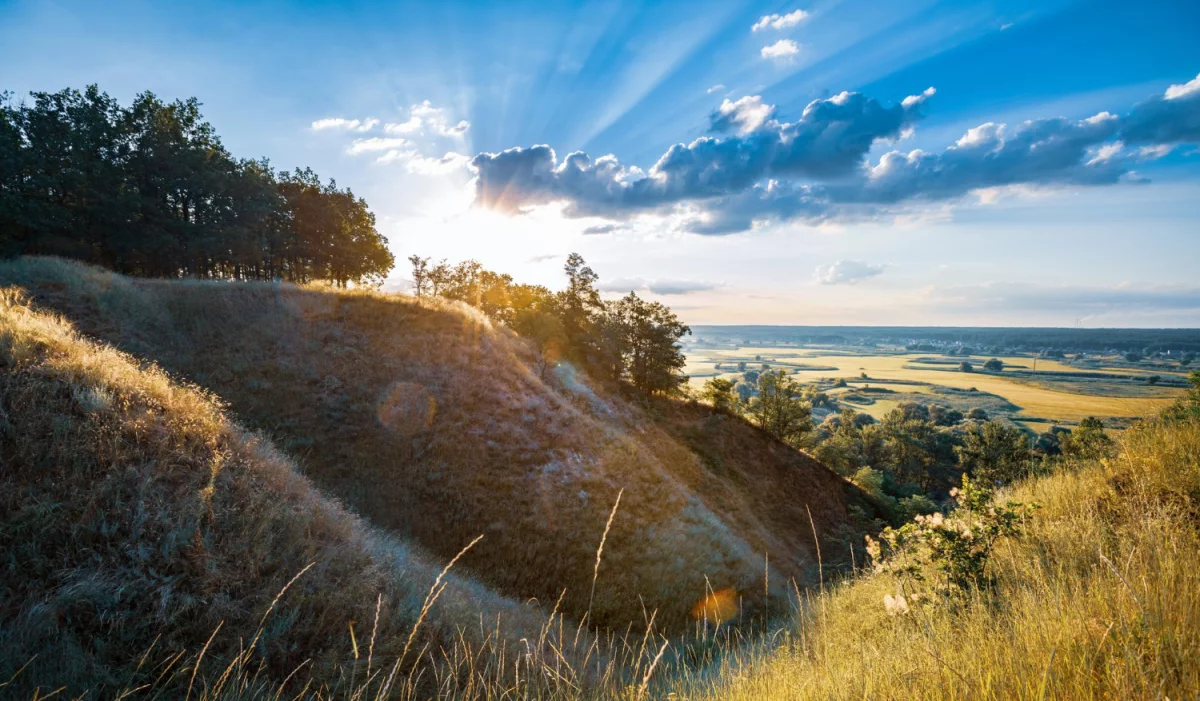Jak pozycjonować firmę lokalną Od Ręki