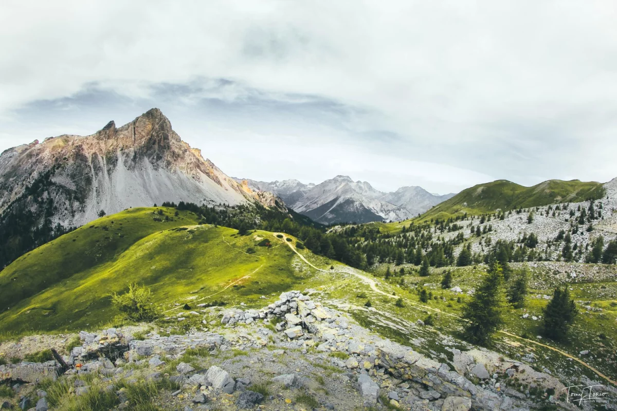 Wielozadaniowe zwyżki z operatorem