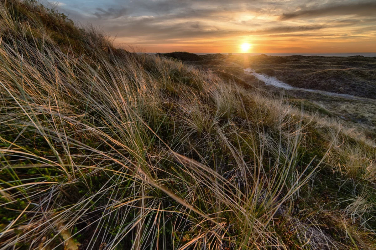 STUDIUM PRZYPADKU Jak Oddać elektrośmiecie w Gdańsku W 9 Dni?