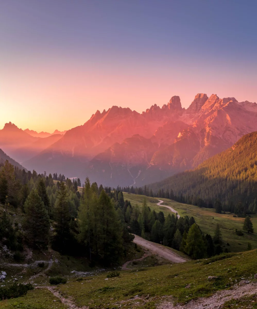 Co warto wiedzieć o kuchni roślinnej