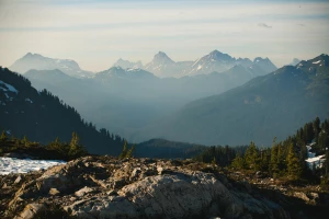 STUDIUM PRZYPADKU Jak Oddać elektrośmiecie w Gdańsku W 9 Dni?